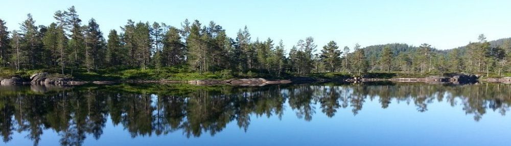 Førevann Velforening